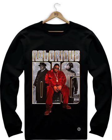Camiseta Manga Longa Big
